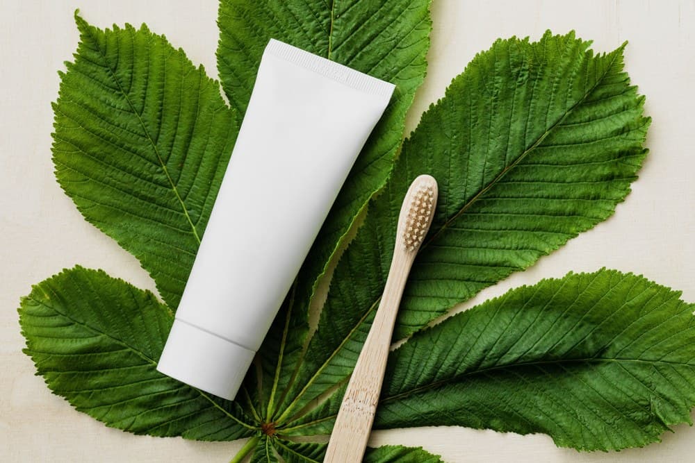 Yeşil yapraklar üzerinde beyaz bir diş macunu tüpü ve bambu diş fırçası